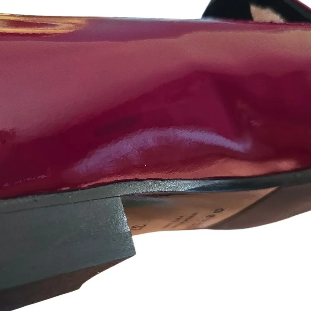 Aeyde Red Pointed Toe Patent Leather Minimalist Balletcore Ballet Flats